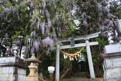 春日神社の鳥居