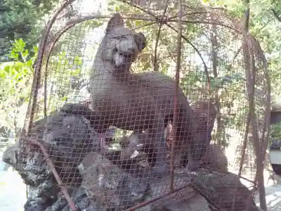 大稲荷神社の狛犬