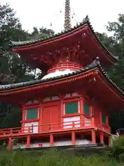 今熊野観音寺(京都府)