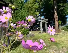 諏訪神社(長野県)