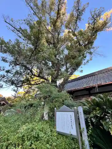 春日神社(大阪府)