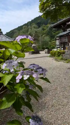 善峯寺(京都府)