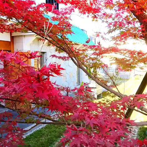 寿量山　速成寺の庭園