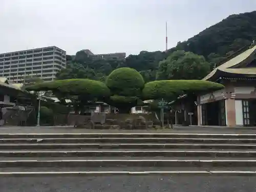 照國神社の庭園