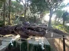 泉神社(茨城県)