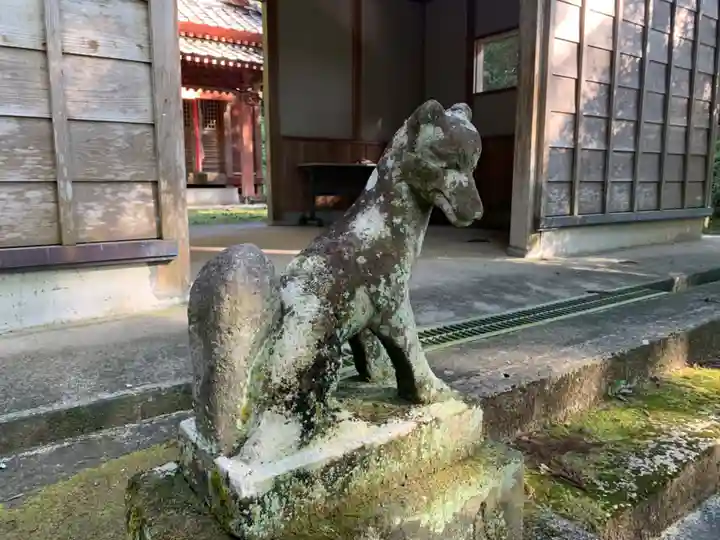 稲荷神社の狛犬