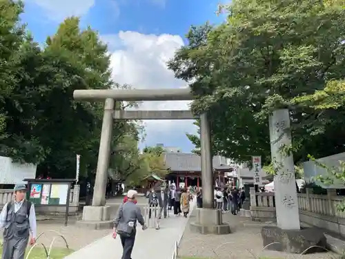 浅草神社の鳥居