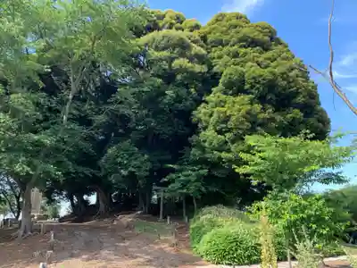 大六天神社(千葉県)
