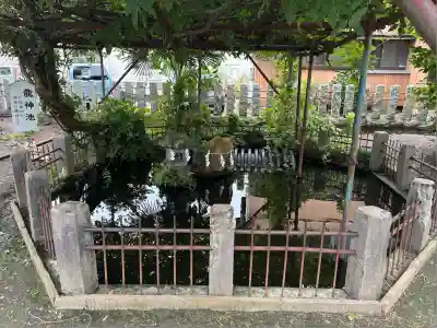 戸隠神社(新潟県)