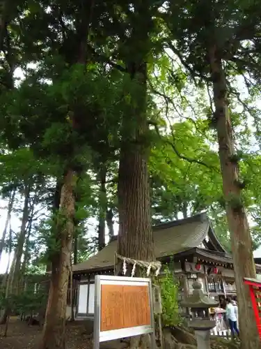 小室浅間神社の建物その他