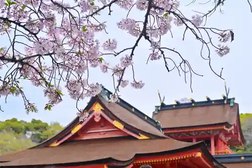 富士山本宮浅間大社(静岡県)