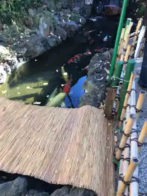 吉原神社(東京都)