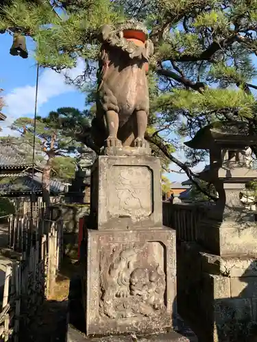 成田山新勝寺の狛犬