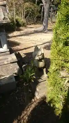浅間神社の狛犬