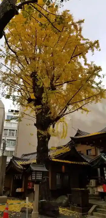 日本橋日枝神社(東京都)