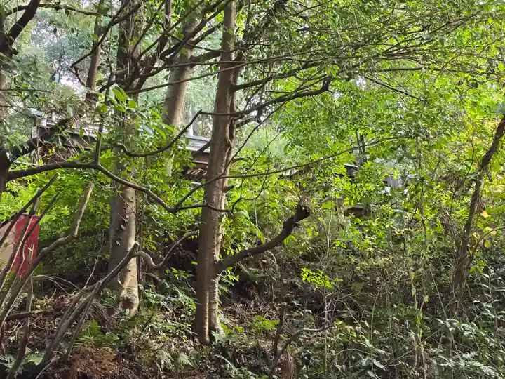 建水分神社(大阪府)