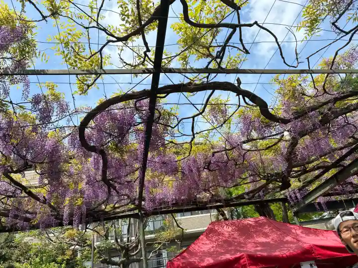 國領神社の{uncategorized: "未分類", other: "その他", undefined: "問題あり", building: "その他建物", grave: "お墓", sacred_gate: "鳥居", guardian: "狛犬", statue: "像", buddha: "仏像", history: "歴史", nature: "自然", garden: "庭園", animal: "動物", pagoda: "塔", temizu: "手水舎", mountain_gate: "山門・神門", sanctuary: "本殿・本堂", subordinate: "末社・摂社", art: "芸術", scenery: "景色", jizo: "地蔵", ema: "絵馬", goshuin: "御朱印", omikuji: "おみくじ", items: "授与品その他", amulet: "お守り", goshuincho: "御朱印帳", eats: "食事", festival: "お祭り", votive_dance: "神楽", shichigosan: "七五三参", wedding: "結婚式", experience: "体験その他", initially: "初詣", around: "周辺", anti_infection: "感染症対策"}