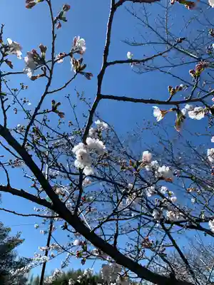武蔵第六天神社(埼玉県)