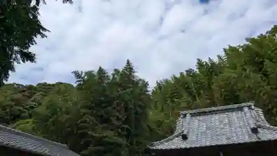 八幡神社の自然