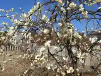 今津天満宮(山口県)