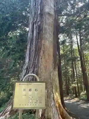 箟峯寺(宮城県)
