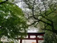 大宮八幡宮の鳥居