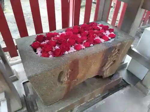 蛇松神社(新潟県)