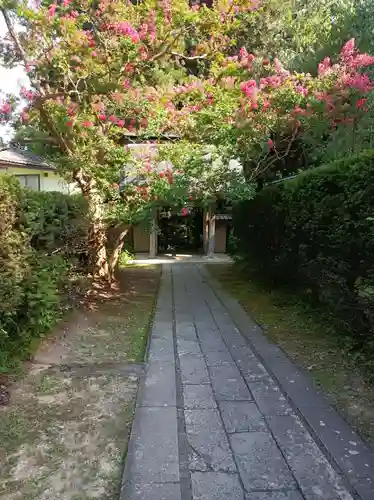 安楽寺の御朱印