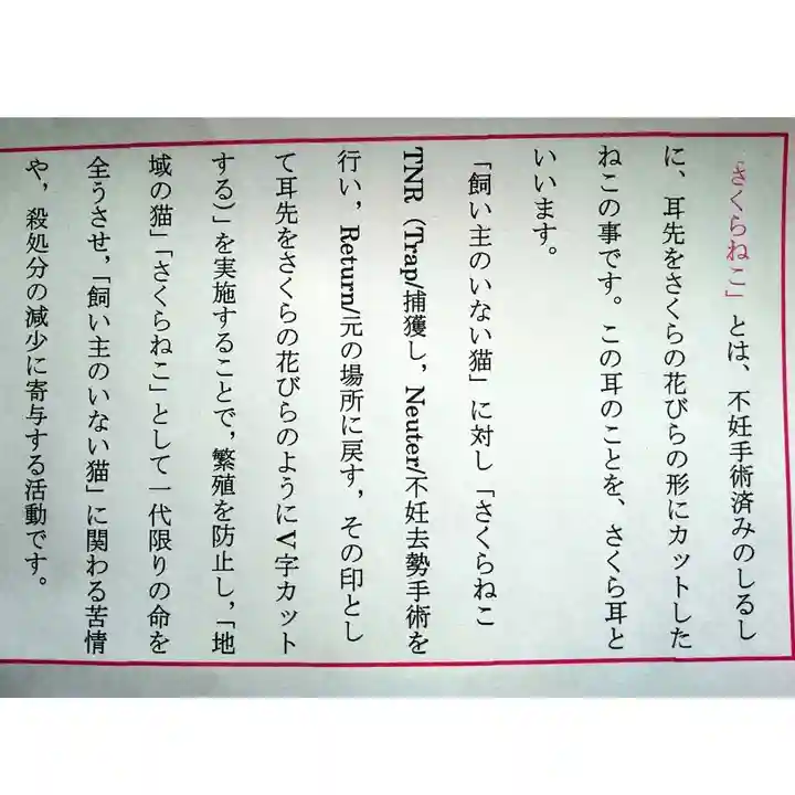 専念寺の授与品その他