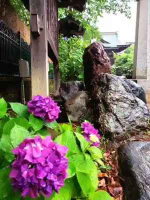 桜神宮(東京都)