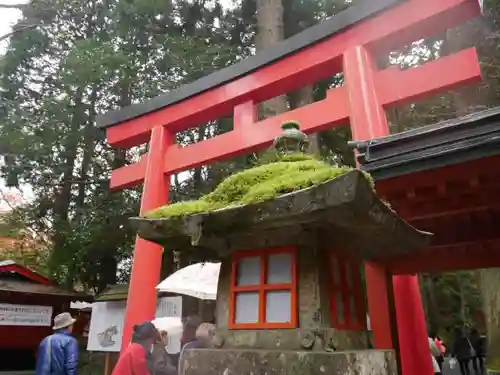 箱根神社の鳥居