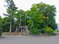 八幡社(西)の自然