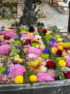 柳谷観音　楊谷寺(京都府)