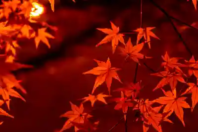 北野天満宮(京都府)