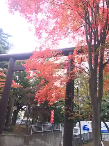 北広島市総鎮守　廣島神社の鳥居