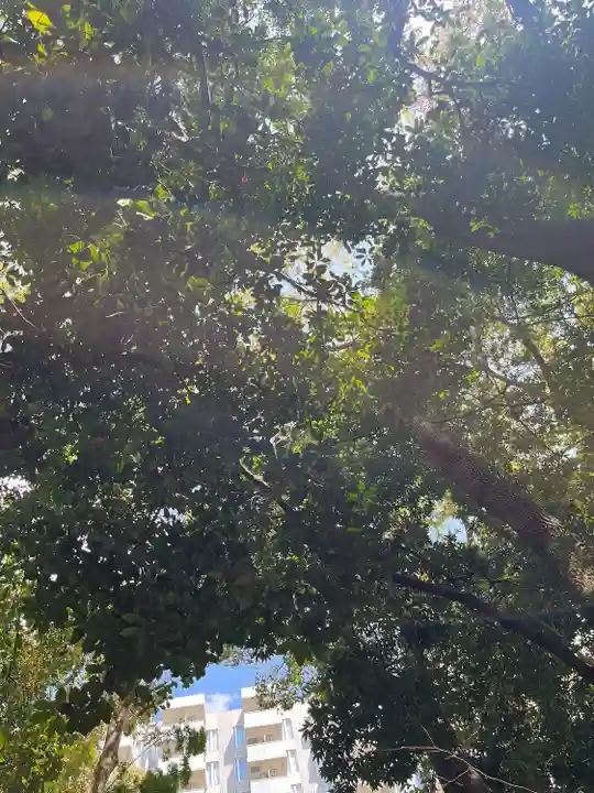 生田神社(兵庫県)