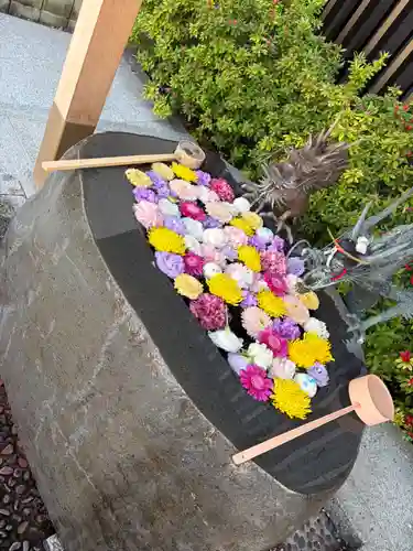 駒込妙義神社(東京都)