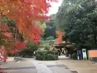宇治上神社の自然