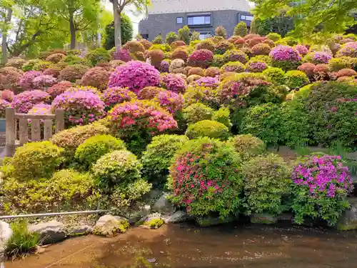 根津神社(東京都)