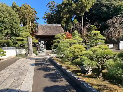 天嶽院(神奈川県)
