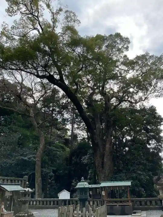 久能山東照宮の{uncategorized: "未分類", other: "その他", undefined: "問題あり", building: "その他建物", grave: "お墓", sacred_gate: "鳥居", guardian: "狛犬", statue: "像", buddha: "仏像", history: "歴史", nature: "自然", garden: "庭園", animal: "動物", pagoda: "塔", temizu: "手水舎", mountain_gate: "山門・神門", sanctuary: "本殿・本堂", subordinate: "末社・摂社", art: "芸術", scenery: "景色", jizo: "地蔵", ema: "絵馬", goshuin: "御朱印", omikuji: "おみくじ", items: "授与品その他", amulet: "お守り", goshuincho: "御朱印帳", eats: "食事", festival: "お祭り", votive_dance: "神楽", shichigosan: "七五三参", wedding: "結婚式", experience: "体験その他", initially: "初詣", around: "周辺", anti_infection: "感染症対策"}