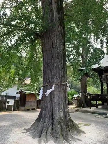 賀羅加波神社の自然