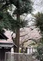 明王院(満願寺別院)(東京都)