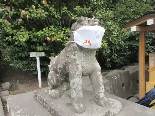 鶴岡八幡宮の狛犬