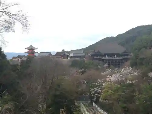 清水寺の景色