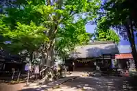 白鳥神社(長野県)