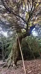 八幡神社(福井県)