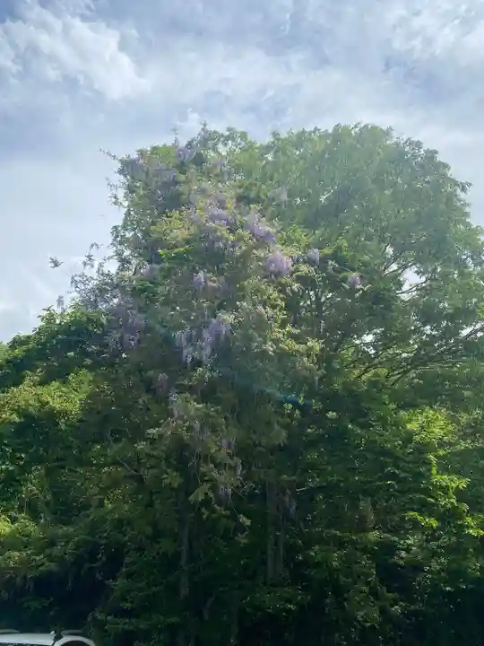 寺下観音の自然