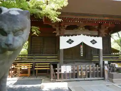 多聞院の本殿・本堂