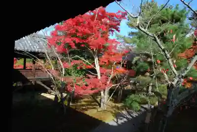 清凉寺(京都府)